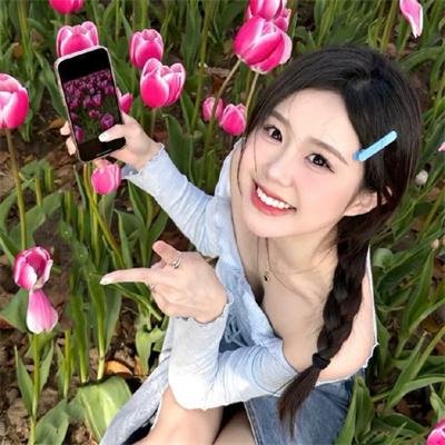 森林：随处可见 海报