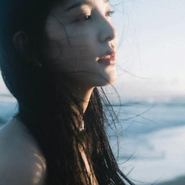 布拉多 海报