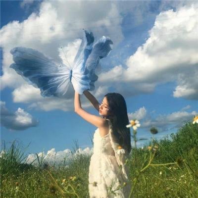 艾维奇的真实故事 海报